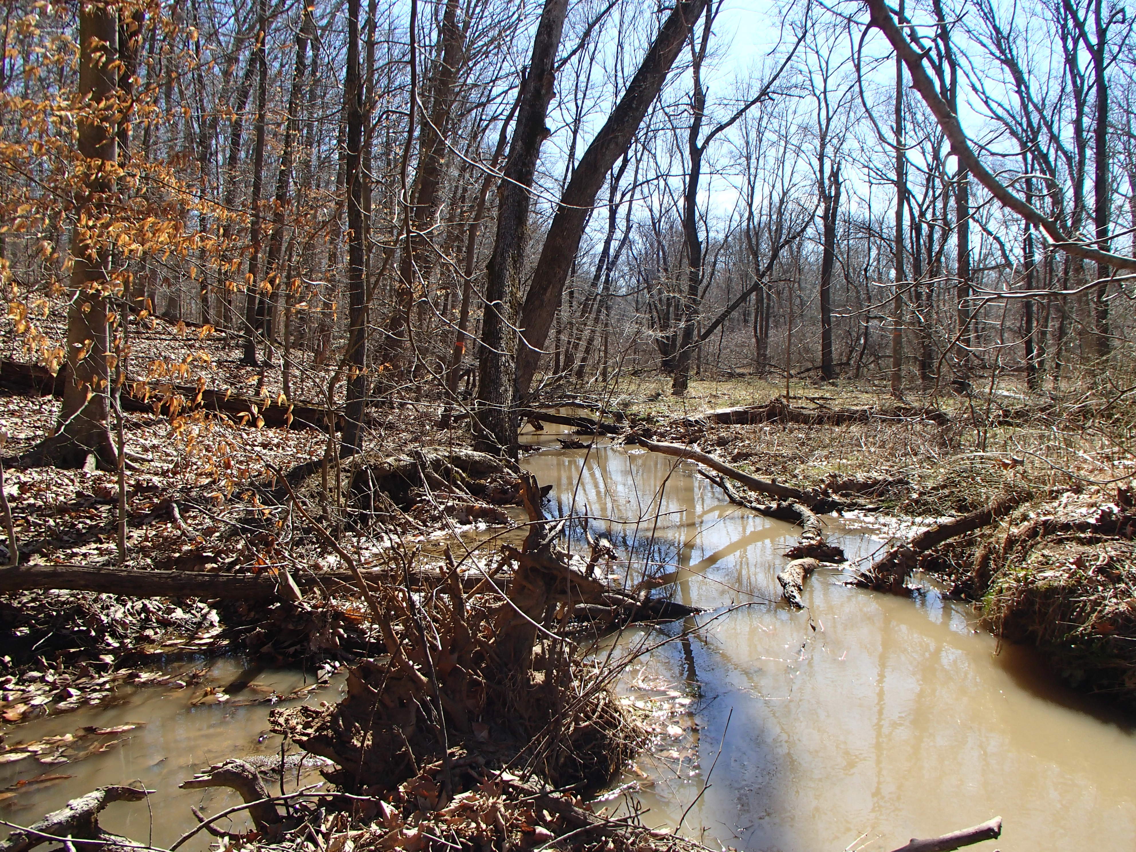 Field photo showing stream conditions at site WEST-109-X-2016_midpoint looking downstream